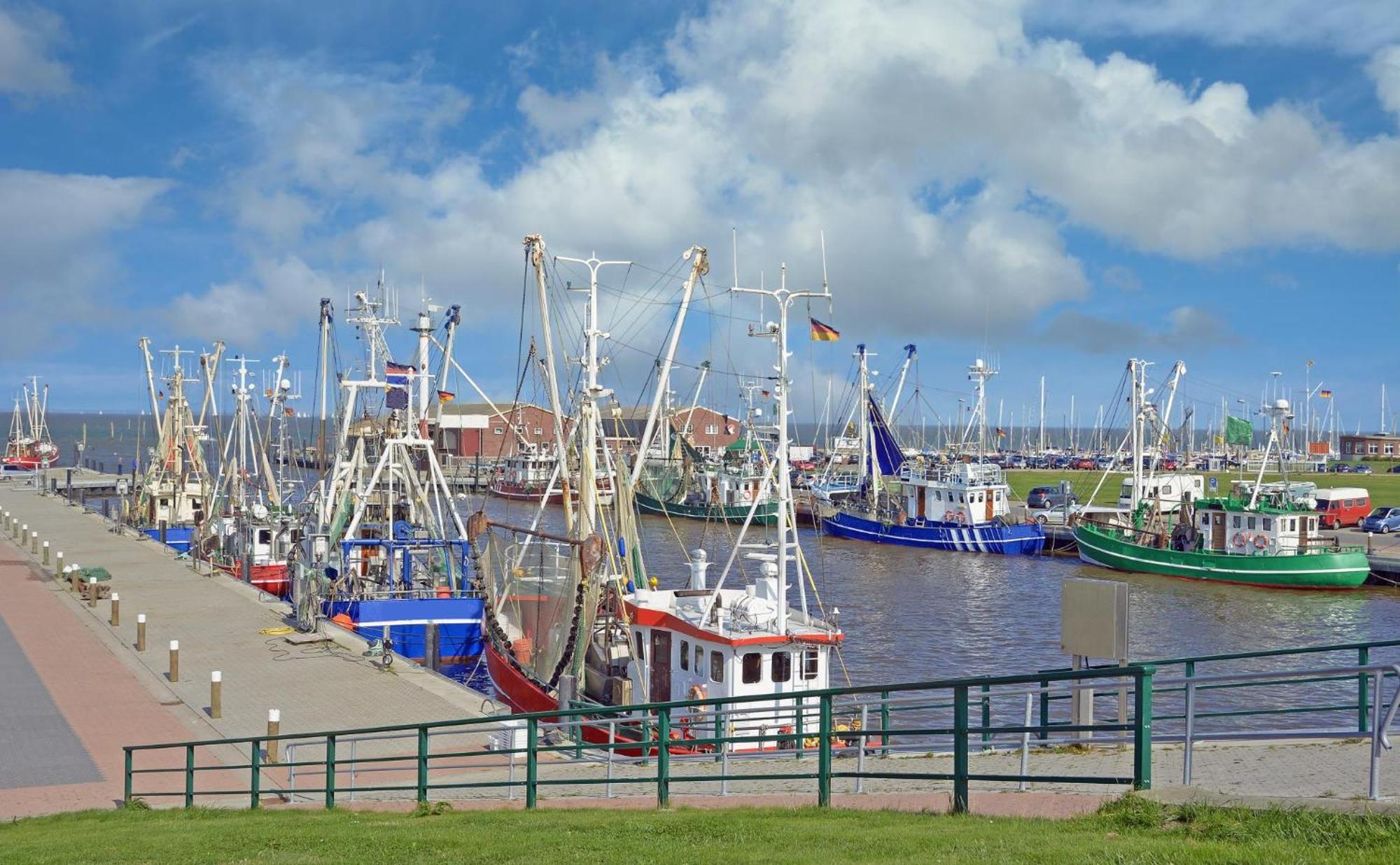 Ferienhaus Hornhecht Dornumersiel Eksteriør bilde